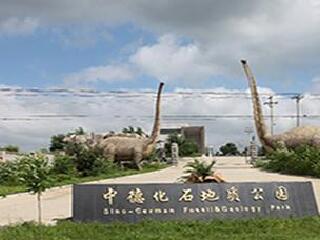中德化石地质公园