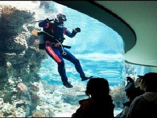 常熟海星岛乐园