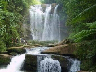 白龙潭皇家森林公园