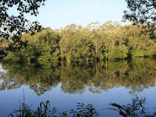 新加坡双溪布洛湿地保护区