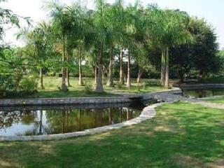 曼景兰旅游一条街