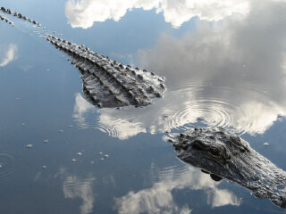 大沼泽地国家公园