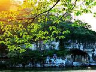 良凤江国家森林公园