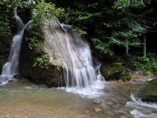 金丝大峡谷国家森林公园