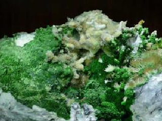 中国石林喀斯特地质博物馆