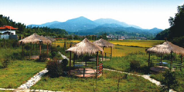 湾里风景,安徽芜湖湾里机场,南昌湾里地铁图_大山谷图库