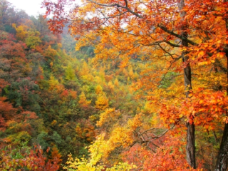 南江升钟风景区
