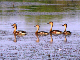 玛丽河国家公园