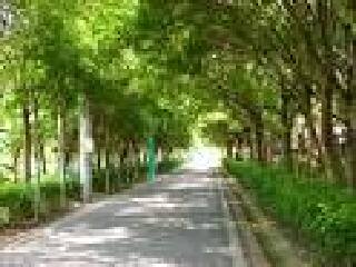 东丰自行车绿廊