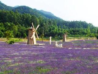 南丹山森林王国