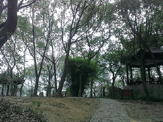 莲洞国家森林公园