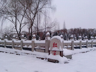 济宁泗水泉林泉群
