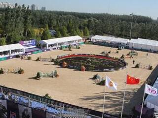 朝阳公园青少年马术培训中心