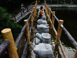 王顺山国家森林公园