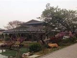 湖州古木艺术馆