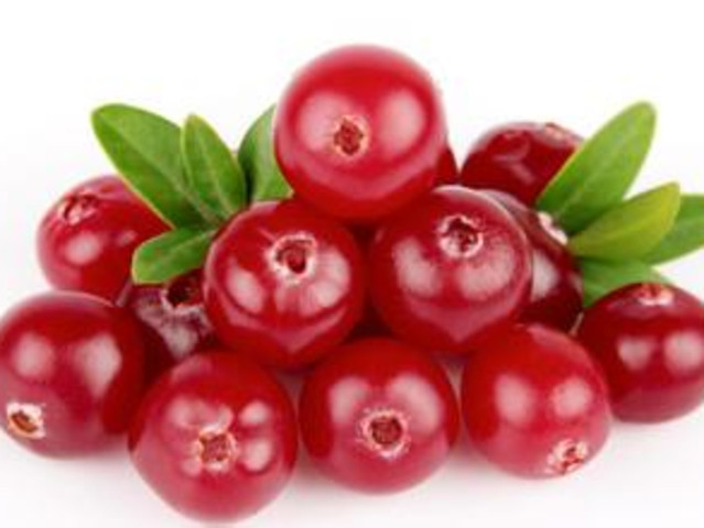 蔓越莓 Cranberry 专卖店 蔓越莓 Cranberry 价格 蔓越莓 Cranberry 哪里买 途牛移动站