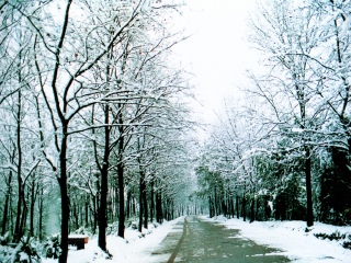 湖南省森林植物园