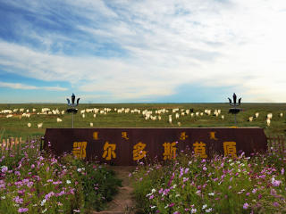 鄂尔多斯大草原