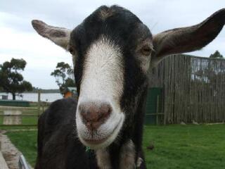 东海岸自然世界