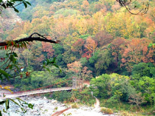 奥万大森林游乐区