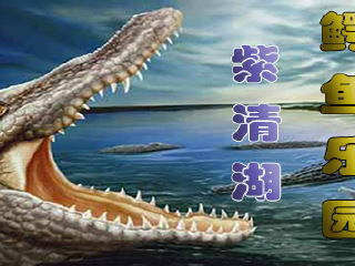 紫清湖鳄鱼乐园