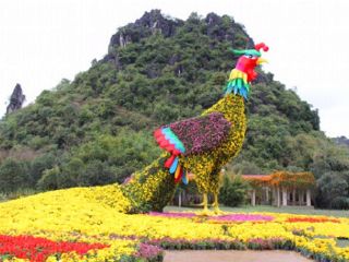 南宁花花大世界