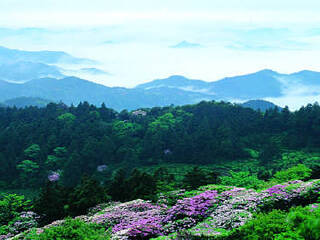 台州天台华顶国家森林公园