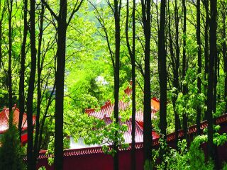 城顶山生态风景区
