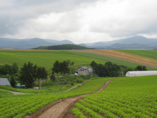 上川郡（十胜国）