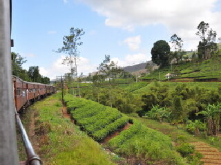 努沃勒埃利耶区