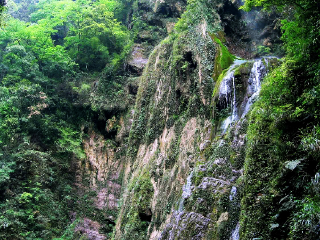 重庆万盛黑山谷生态旅游区