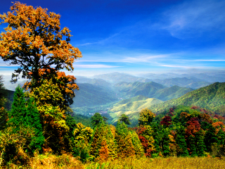杭州临安天目山冰川大峡谷