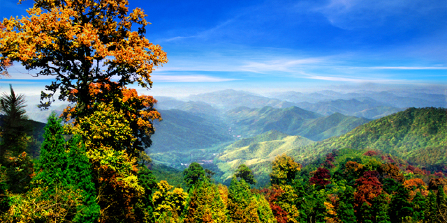 cdn/olb/9b/60/9b606fd83e348721186fda481749ce9b_w640_h320_c1_t0