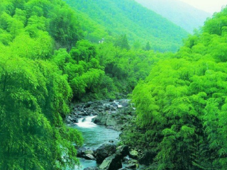 安吉递铺香樟阁农庄