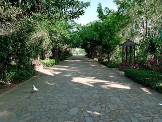 海南热带飞禽世界