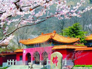 城顶山生态风景区