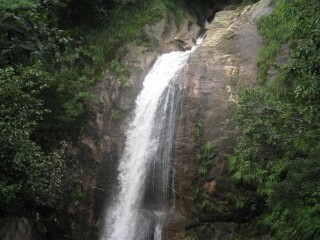 黄山牯牛降景区