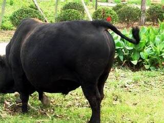 上海东方地质科普馆