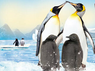 墨尔本海洋生物水族馆