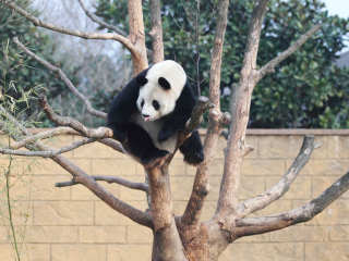 杭州野生动物世界