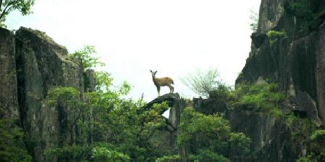 亮点图片