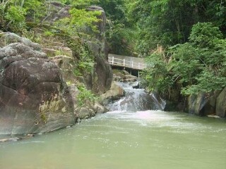 黄楮林自然保护区