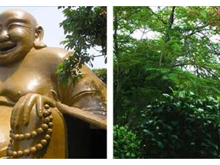 龙佳生态温泉山庄