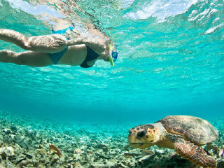 科纳凯阿拉凯库亚海湾