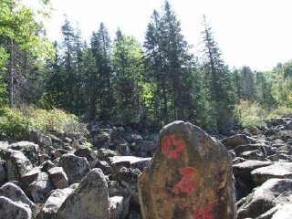 双子山原始森林公园