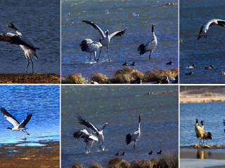 昭通大山包风景区