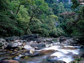 天际岭国家森林公园
