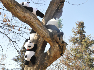 秦岭野生动物园
