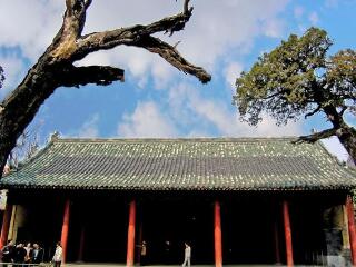 泸西县