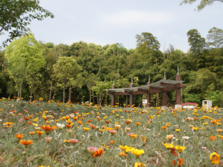 重庆花样龙水湖